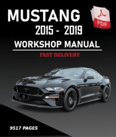 Mustang 2019 workshop manual